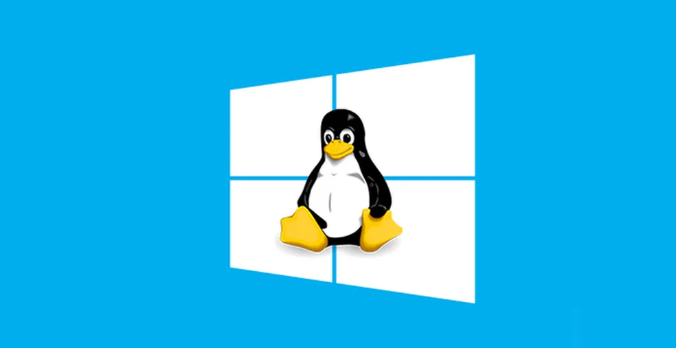 VPS - Brasil